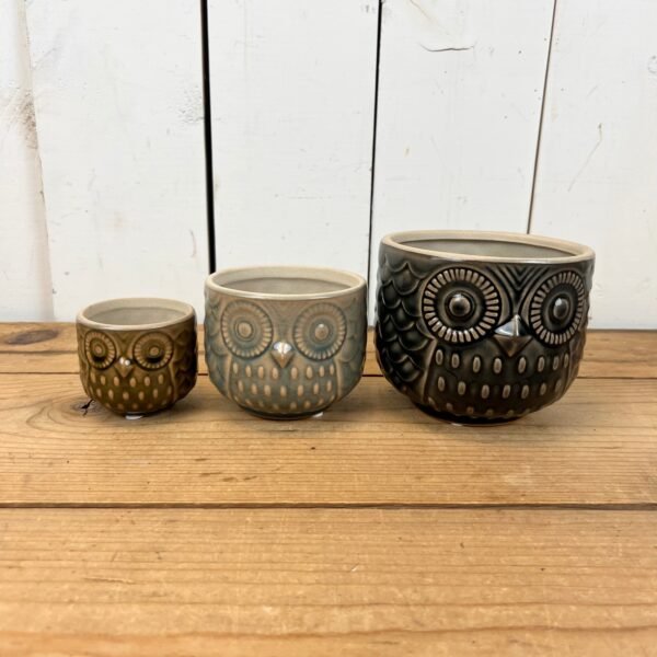 Owl Pots - Image 2