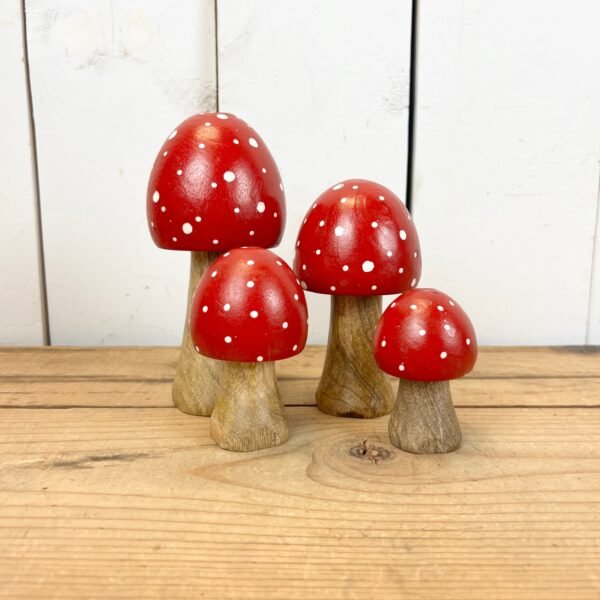 Red and White Polka Dot Mushrooms - Image 3