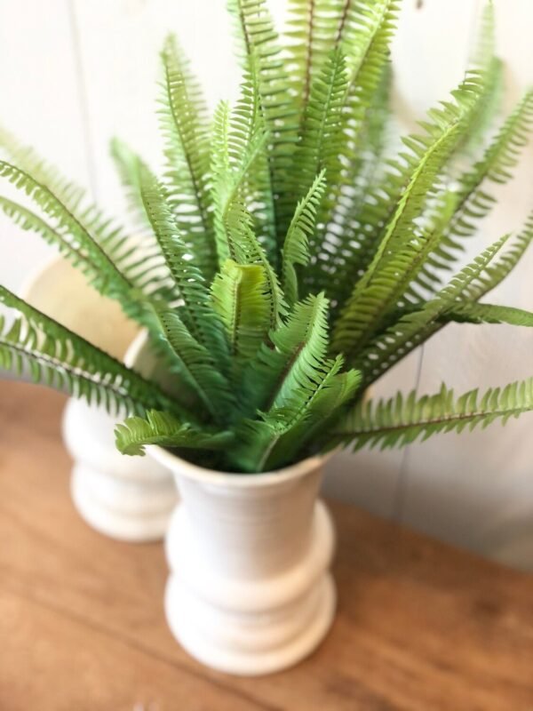Cream Vases - Image 2