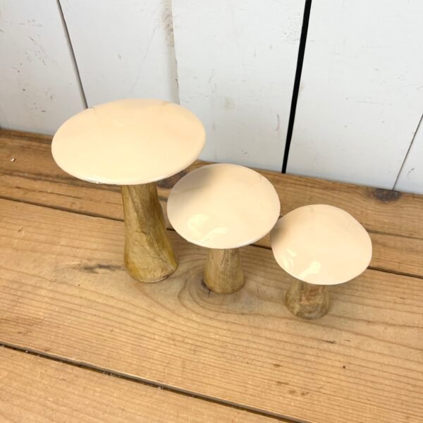 Tan Mushrooms - Image 2