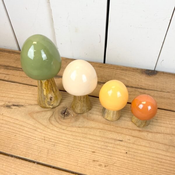Warm-Toned Mushrooms - Image 3