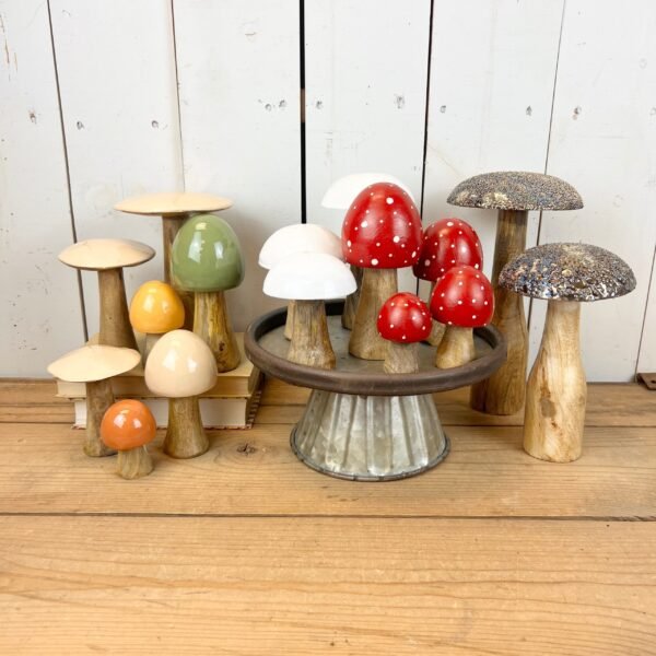Tan Mushrooms - Image 5