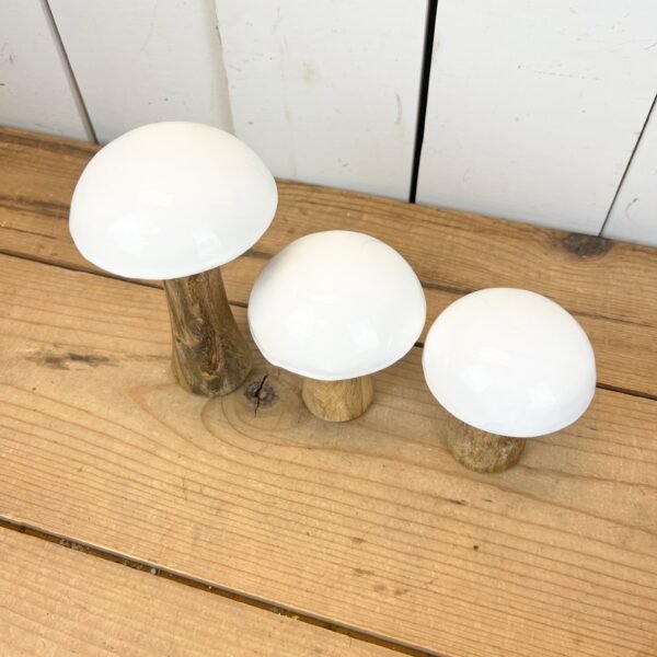 White Mushrooms - Image 2
