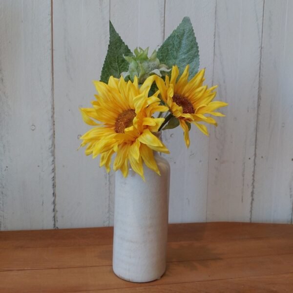 Cream Bottles - Image 4