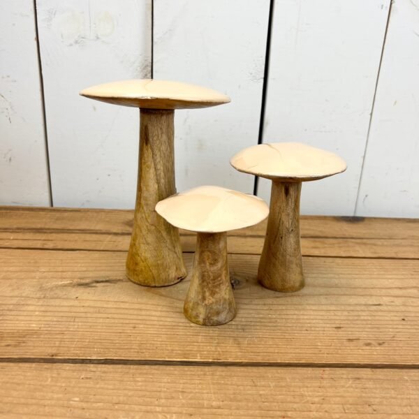 Tan Mushrooms - Image 3