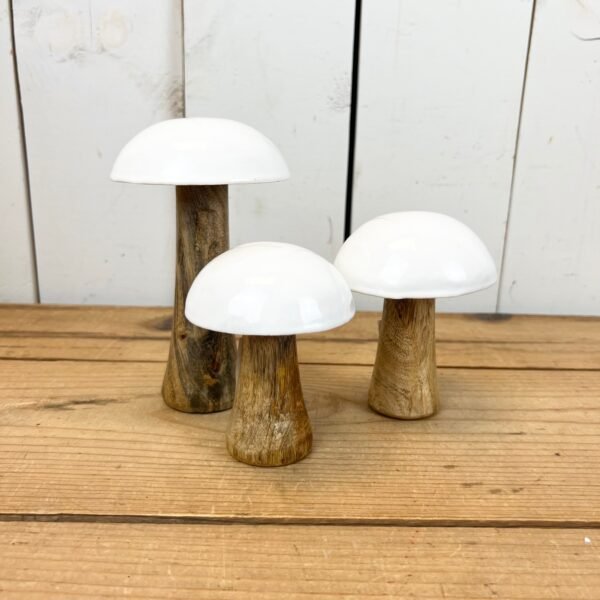 White Mushrooms - Image 3