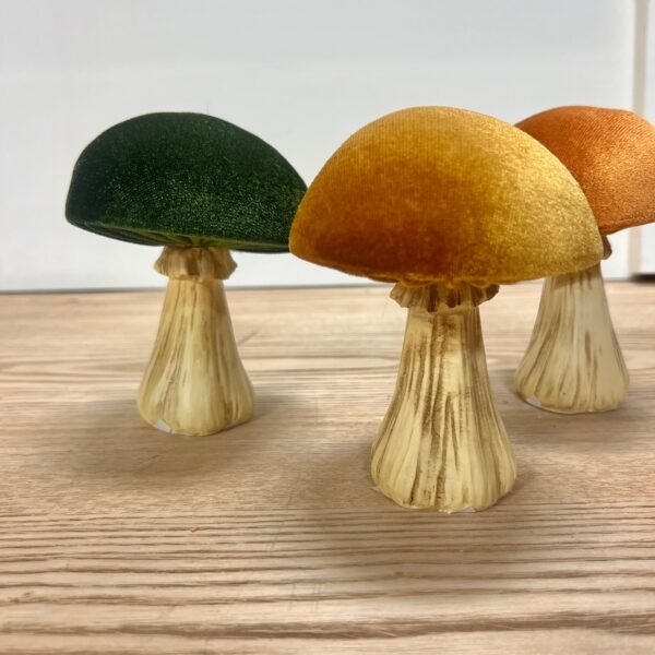 Velvet Mushrooms - Image 3