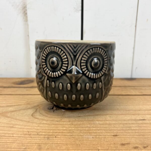 Owl Pots - Image 6