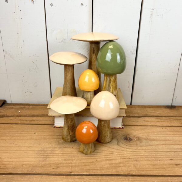 Tan Mushrooms - Image 4