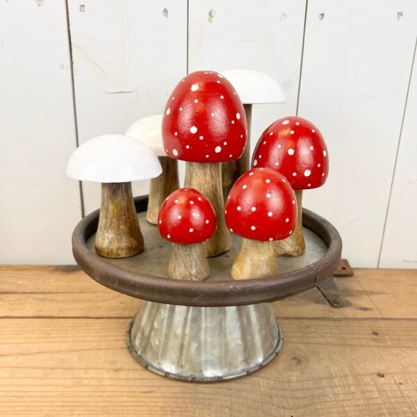 Red and White Polka Dot Mushrooms - Image 4
