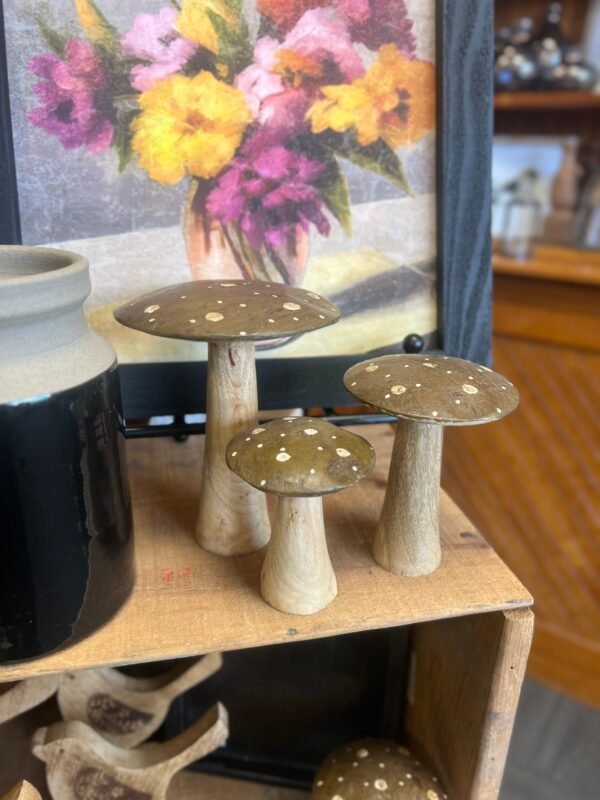 Flat Top Brown Brown Polka Dot Mushrooms, 3 sizes available - Image 2