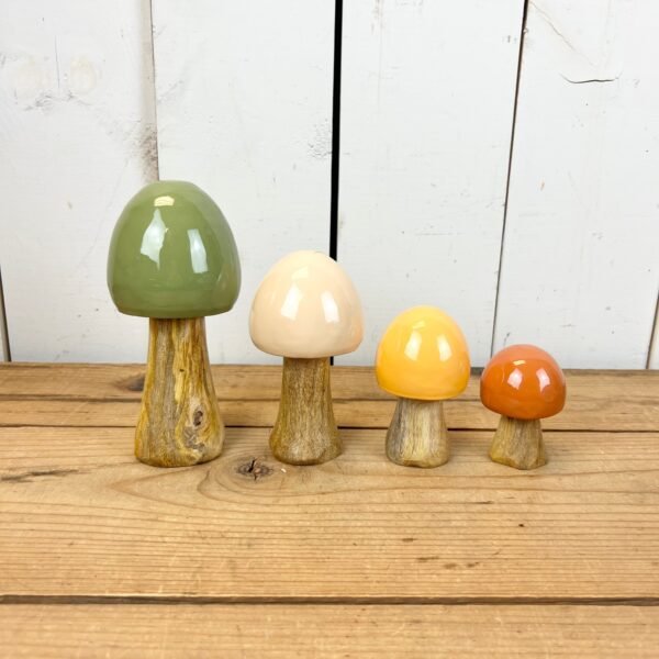 Warm-Toned Mushrooms - Image 4