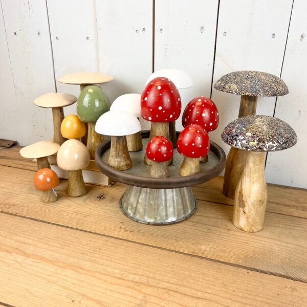 Red and White Polka Dot Mushrooms - Image 5