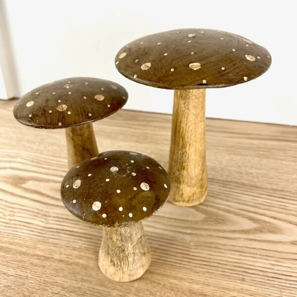 Flat Top Brown Brown Polka Dot Mushrooms, 3 sizes available - Image 3
