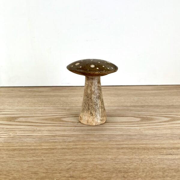 Flat Top Brown Brown Polka Dot Mushrooms, 3 sizes available - Image 5