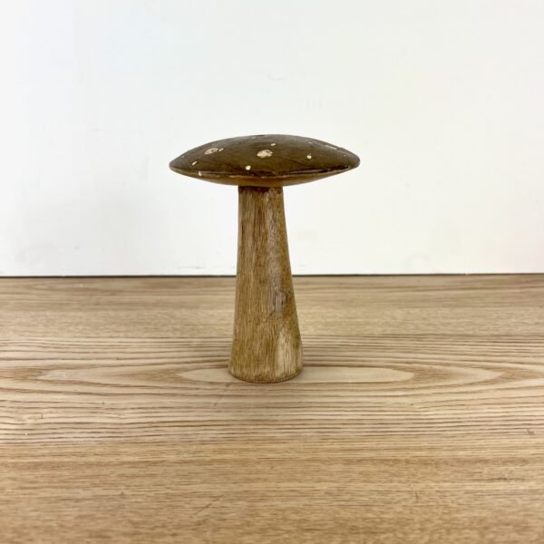 Flat Top Brown Brown Polka Dot Mushrooms, 3 sizes available - Image 6