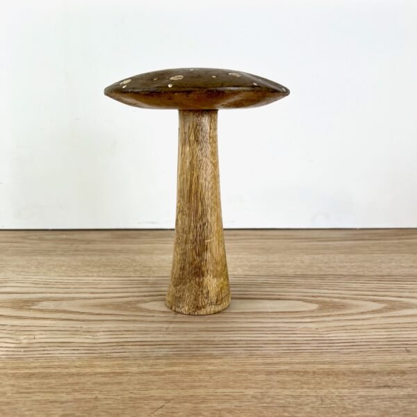 Flat Top Brown Brown Polka Dot Mushrooms, 3 sizes available - Image 7