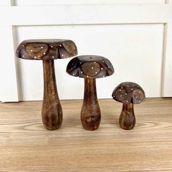 Wooden Mushrooms with Polka Dots, 3 sizes - Image 4