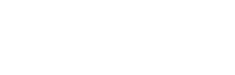Bruavo